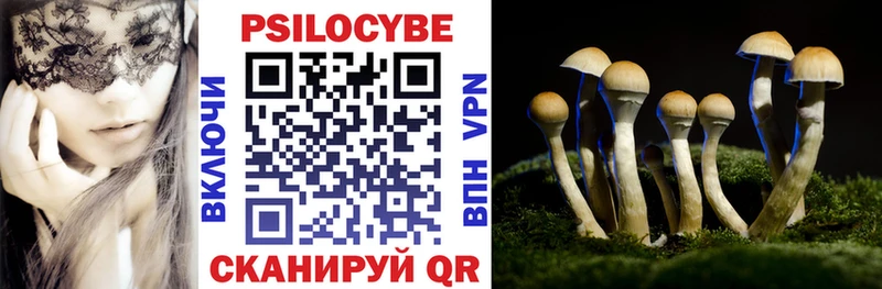 Галлюциногенные грибы Psilocybe  omg ONION  Избербаш  дарнет шоп 