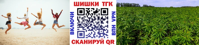 Шишки марихуана семена  Избербаш 